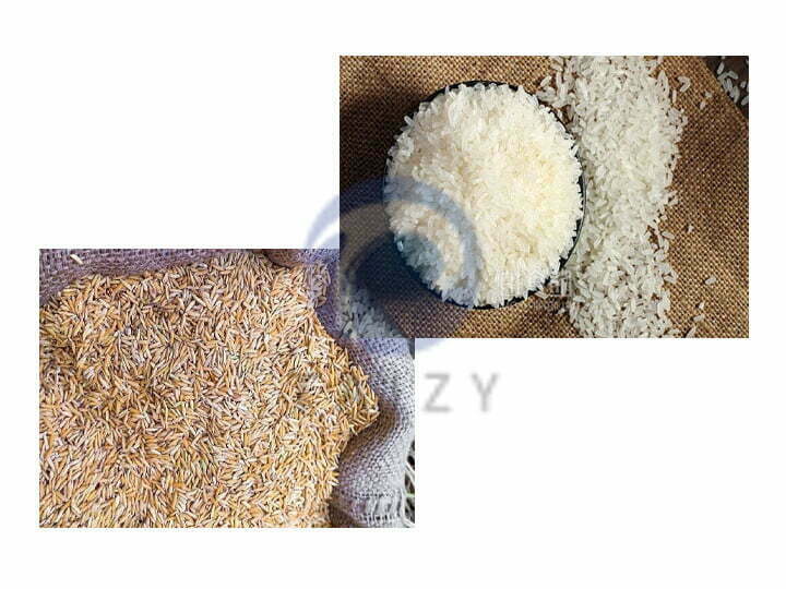 The technology of paddy to making rice